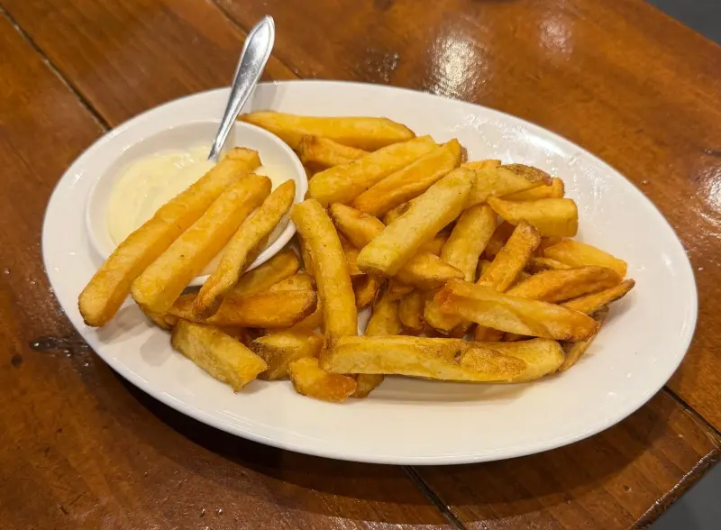 Een bord huisgemaakte verse friet met mayonaise